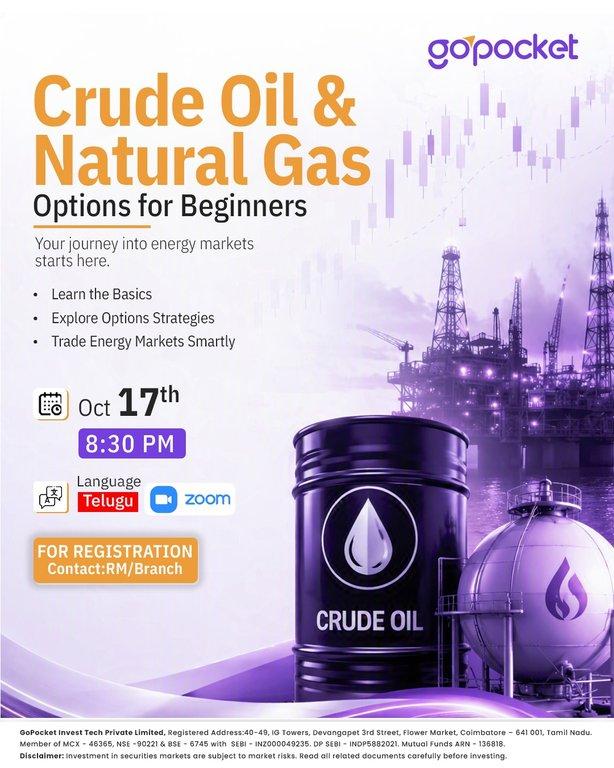 Crude Oil and Natural Gas Options for Beginners