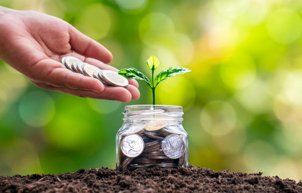 Step-by-Step Guide to Starting Your Investment with Gopocket