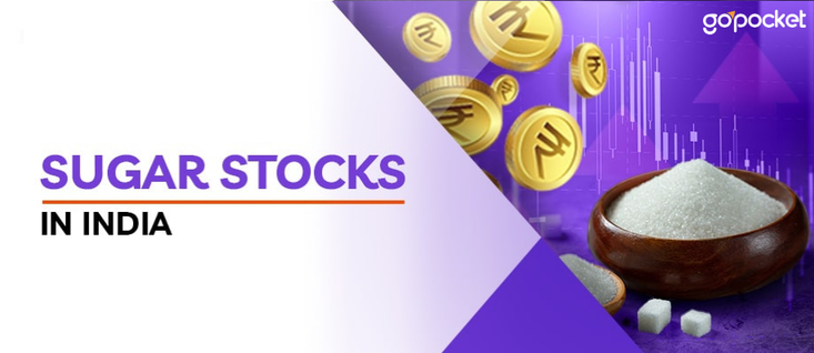 Best Sugar Stocks to Buy in India 2024
